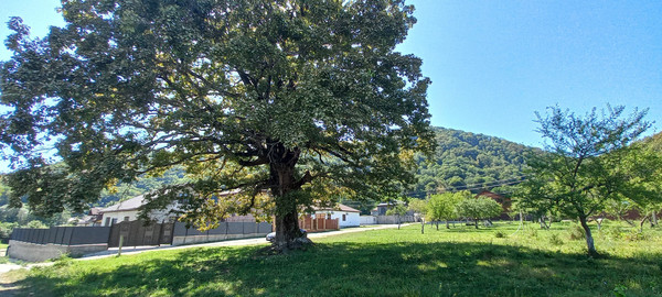 Продам дом, Центральная ул, 11, Агуй-Шапсуг аул, 0 км от города