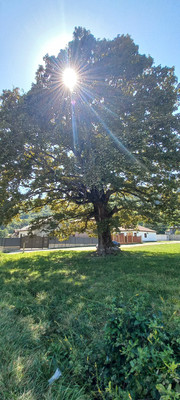 Продам дом, Центральная ул, 11, Агуй-Шапсуг аул, 0 км от города