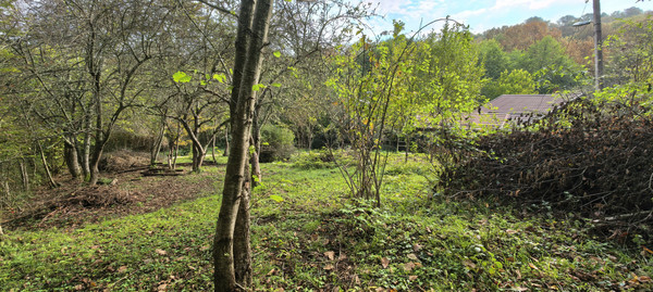 Продам дом, Лесная ул, 10, Гунайка Четвертая с, 0 км от города