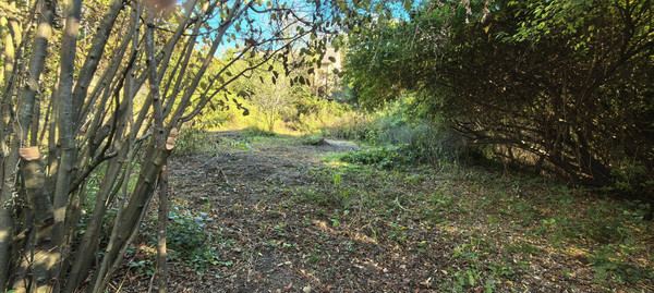 Продам дом, Заводская ул, 34, Кирпичное с, 0 км от города