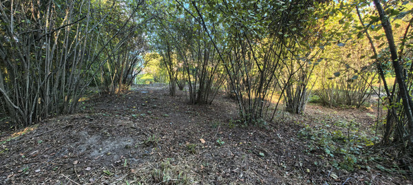 Продам дом, Заводская ул, 34, Кирпичное с, 0 км от города