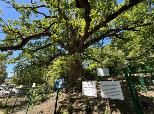 Продам трехкомнатную (3-комн.) квартиру, Горная ул, 1, Агой с