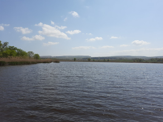 Продам участок 6 соток, Фермерское хоз., Родничок тер. СПК, Ключи с, 0 км от города