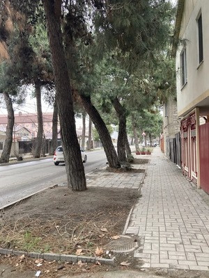 Продам однокомнатную (1-комн.) квартиру, Самбурова ул, 258, Анапа г