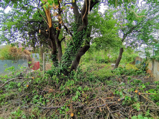 Продам участок 7,3 соток, ИЖС, Советская ул, Анапская ст-ца, 0 км от города