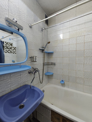 Продам однокомнатную (1-комн.) квартиру, Школьная ул, 88к2, Санкт-Петербург г