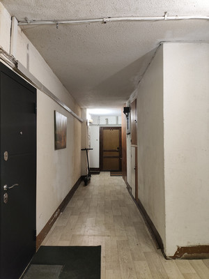 Продам однокомнатную (1-комн.) квартиру, Школьная ул, 88к2, Санкт-Петербург г