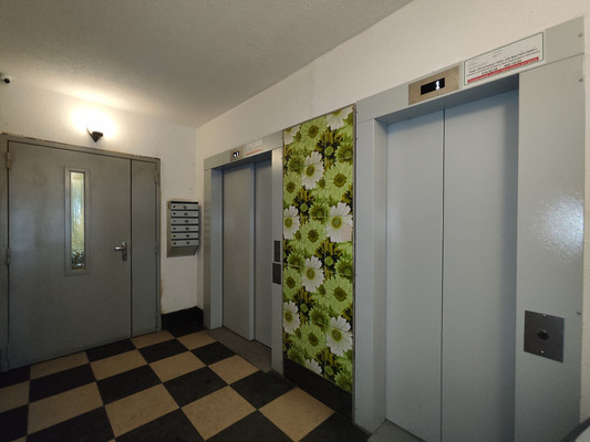 Продам однокомнатную (1-комн.) квартиру, Школьная ул, 88к2, Санкт-Петербург г