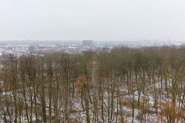 Продам однокомнатную (1-комн.) квартиру, Генерал-фельдмаршала Румянцева ул, 11, Калининград г