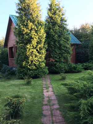 Продам дом, 120, Курниково д, 0 км от города