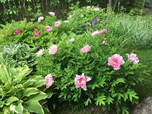 Продам дом, 120, Курниково д, 0 км от города