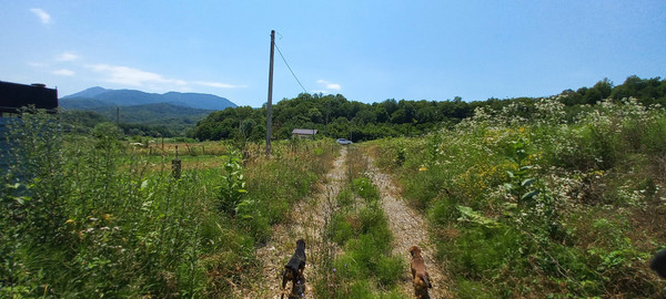 Продам участок 75 соток, Фермерское хоз., 16, Георгиевское с, 0 км от города