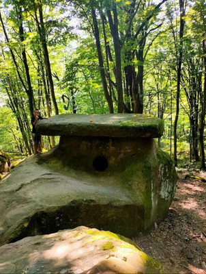 Продам участок 75 соток, Фермерское хоз., 16, Георгиевское с, 0 км от города