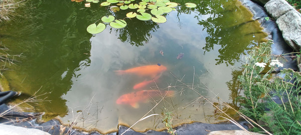 Продам дом, 16, Холодный Родник с, 0 км от города