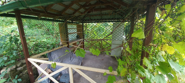 Продам дом, 16, Холодный Родник с, 0 км от города