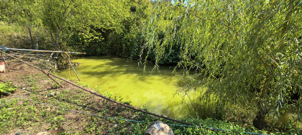 Продам дом, Лесная ул, 20, Анастасиевка с, 0 км от города