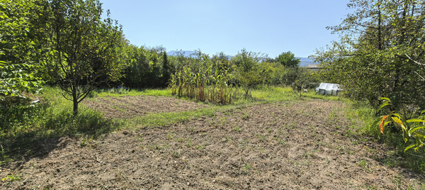 Продам дом, Лесная ул, 20, Анастасиевка с, 0 км от города