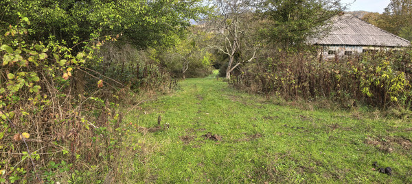 Продам участок 25 соток, ИЖС, Школьная ул, 13, Гунайка Четвертая с, 0 км от города