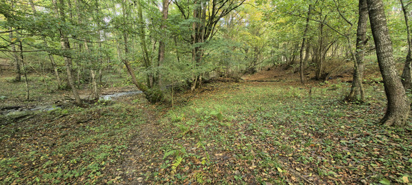 Продам участок 25 соток, ИЖС, Школьная ул, 13, Гунайка Четвертая с, 0 км от города