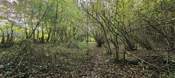 Продам участок 25 соток, ИЖС, Школьная ул, 13, Гунайка Четвертая с, 0 км от города