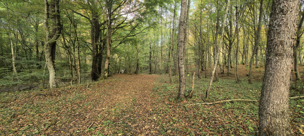 Продам участок 25 соток, ИЖС, Школьная ул, 13, Гунайка Четвертая с, 0 км от города