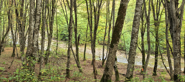 Продам участок 25 соток, ИЖС, Школьная ул, 13, Гунайка Четвертая с, 0 км от города