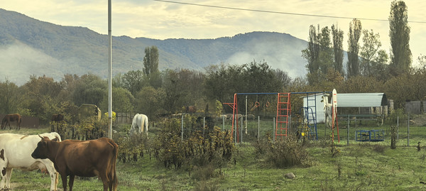 Продам участок 25 соток, ИЖС, Школьная ул, 13, Гунайка Четвертая с, 0 км от города