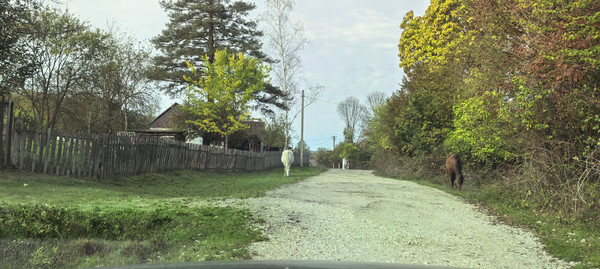 Продам участок 25 соток, ИЖС, Школьная ул, 13, Гунайка Четвертая с, 0 км от города