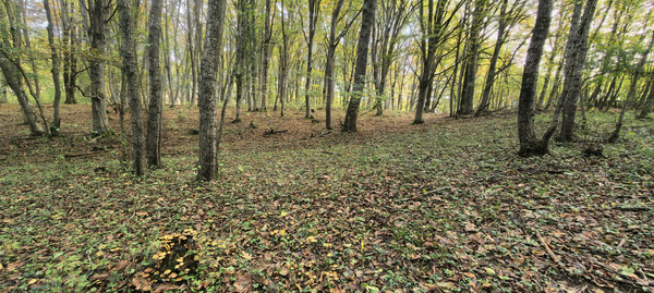 Продам дом, Лесная ул, 6, Гунайка Четвертая с, 0 км от города