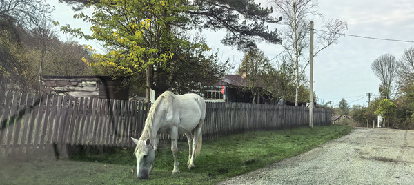Продам дом, Лесная ул, 6, Гунайка Четвертая с, 0 км от города