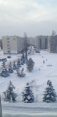 Продам трехкомнатную (3-комн.) квартиру, Школьная ул, 4, Малое Верево д