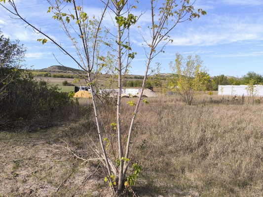 Продам участок 11 соток, Фермерское хоз., Дубки с, 0 км от города