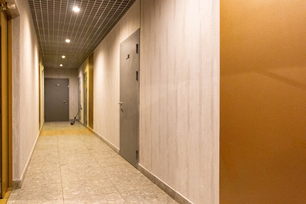 Сдам однокомнатную (1-комн.) квартиру, Челюскина ул, 2, Санкт-Петербург г