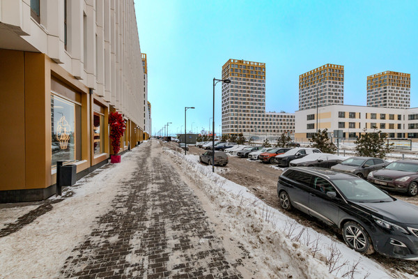 Сдам однокомнатную (1-комн.) квартиру, Челюскина ул, 2, Санкт-Петербург г