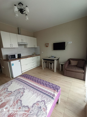 Продам однокомнатную (1-комн.) квартиру, Ленина (Молдовка мкр) ул, 284Г/4, Сочи г