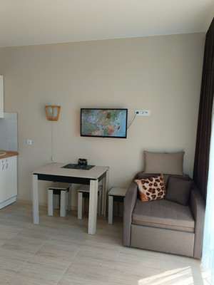 Продам однокомнатную (1-комн.) квартиру, Ленина (Молдовка мкр) ул, 284Г/4, Сочи г