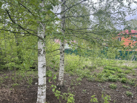 Продам участок 9,45 соток, ИЖС, СНТ Пенсионер тер, Быково рп, 0 км от города