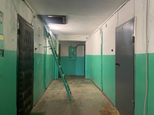 Продам однокомнатную (1-комн.) квартиру, Десятинная ул, 8, Великий Новгород г