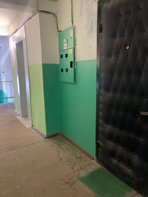 Продам однокомнатную (1-комн.) квартиру, Десятинная ул, 8, Великий Новгород г