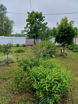 Продам дачу, 117, Семёновская с, 0 км от города