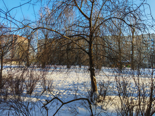 Продам однокомнатную (1-комн.) квартиру, Танкиста Хрустицкого ул, 114, Санкт-Петербург г