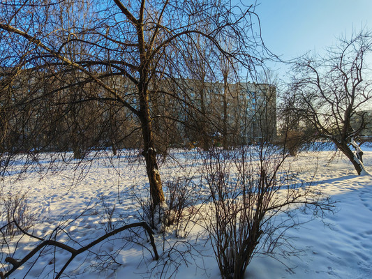 Продам однокомнатную (1-комн.) квартиру, Танкиста Хрустицкого ул, 114, Санкт-Петербург г