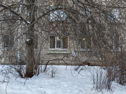 Продам однокомнатную (1-комн.) квартиру, Танкиста Хрустицкого ул, 114, Санкт-Петербург г