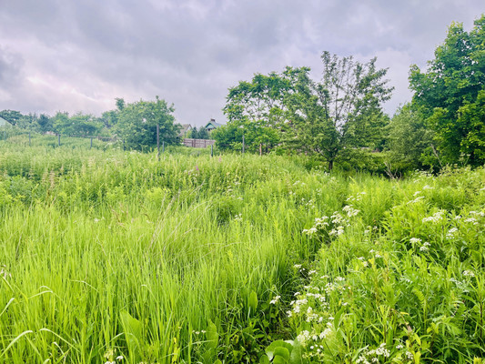 Продам участок 15 соток, ИЖС, Протасово д, 0 км от города