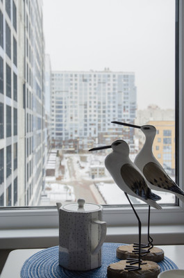 Продам двухкомнатную (2-комн.) квартиру, Вилькицкий б-р, 4, Санкт-Петербург г