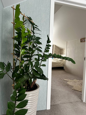 Продам дом, Малая ул, Фёдоровское гп, 0 км от города