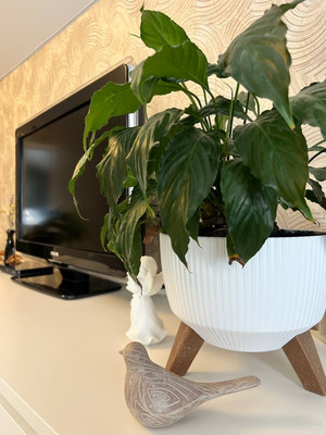 Продам дом, Малая ул, Фёдоровское гп, 0 км от города