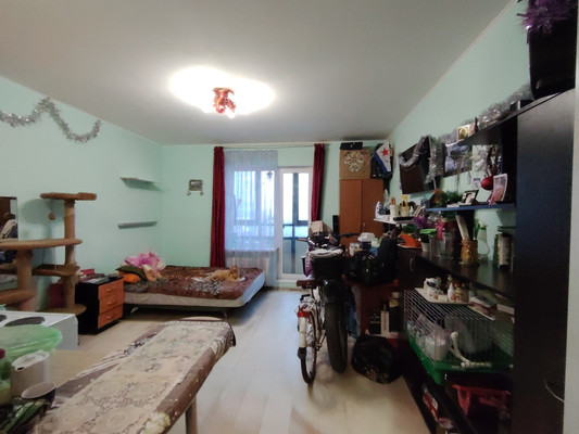 Продам однокомнатную (1-комн.) квартиру, Европейский пр-кт, 18к1, Кудрово г