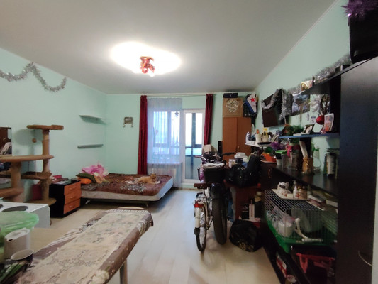 Продам однокомнатную (1-комн.) квартиру, Европейский пр-кт, 18к1, Кудрово г