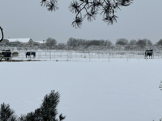 Продам участок 6,31 соток, Фермерское хоз., Рынделево д, 0 км от города